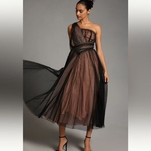 Anthropologie Tulle Dot Maxi Dress